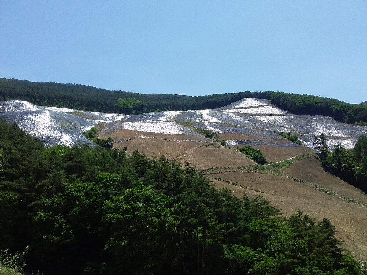 Очень много пленки на горе))