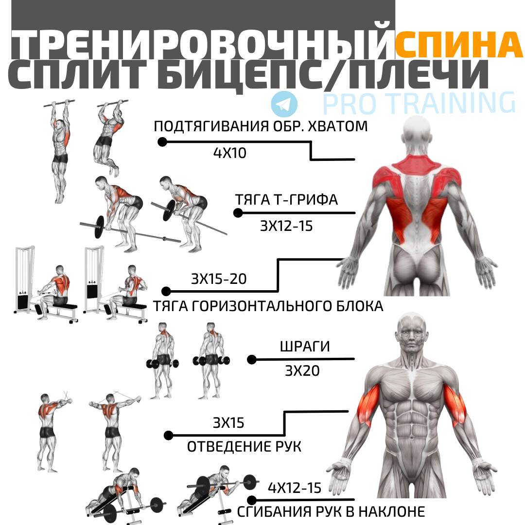 Тренировочный сплит для набора мышечной массы. Подробная программа  тренировок | Томаш Игорь | Pro Training | Дзен