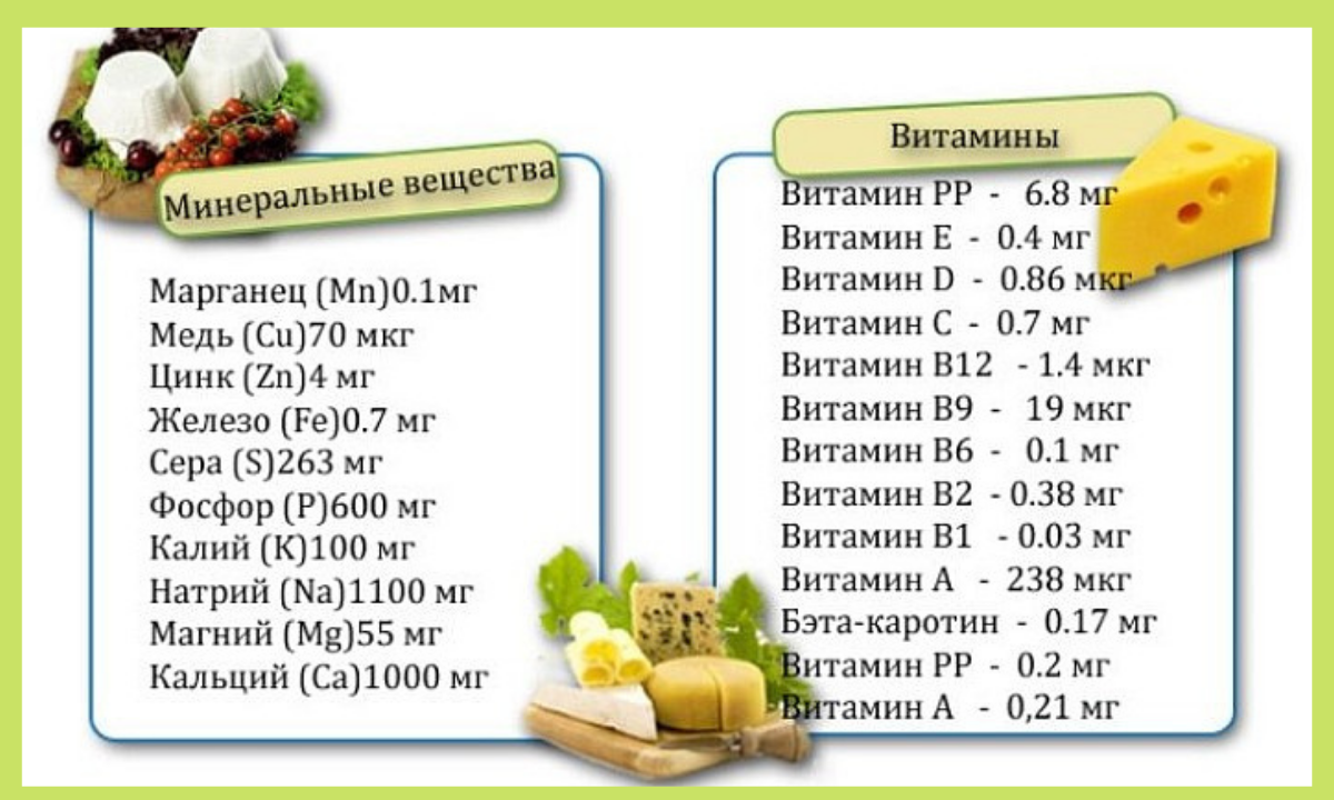 Можно ли белкам сыр