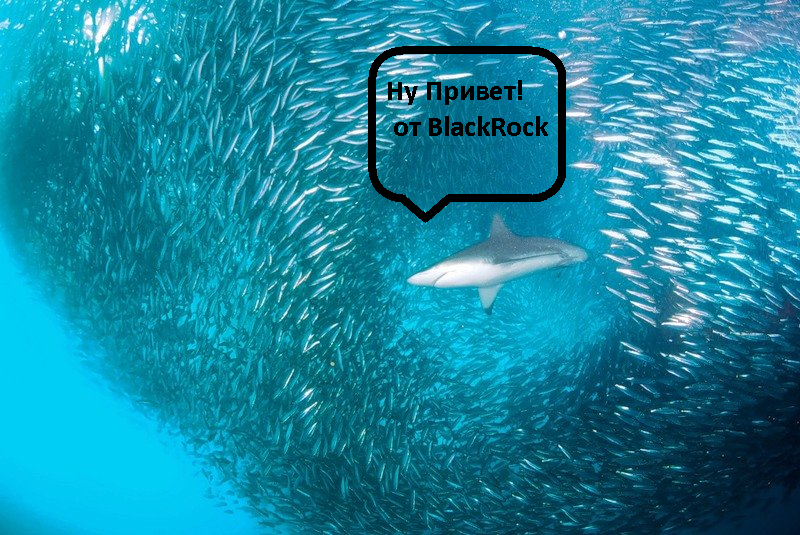 как  Вам живется спекули7