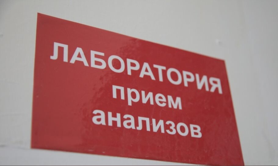 По словам волгоградцев, укус можно получить даже возле подъезда многоквартирного дома и во время прогулки с домашним питомцем