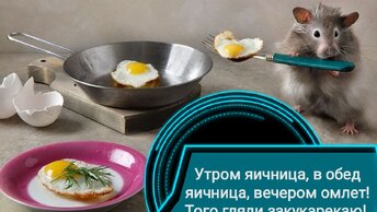 Корректируем стратегию, . Дивидендный рацион биржевых хомяков, внесение изменений в.