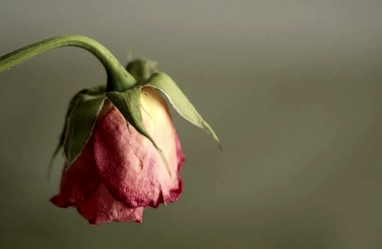 Начиналось всё хорошо, но кончалось вполне предсказуемо