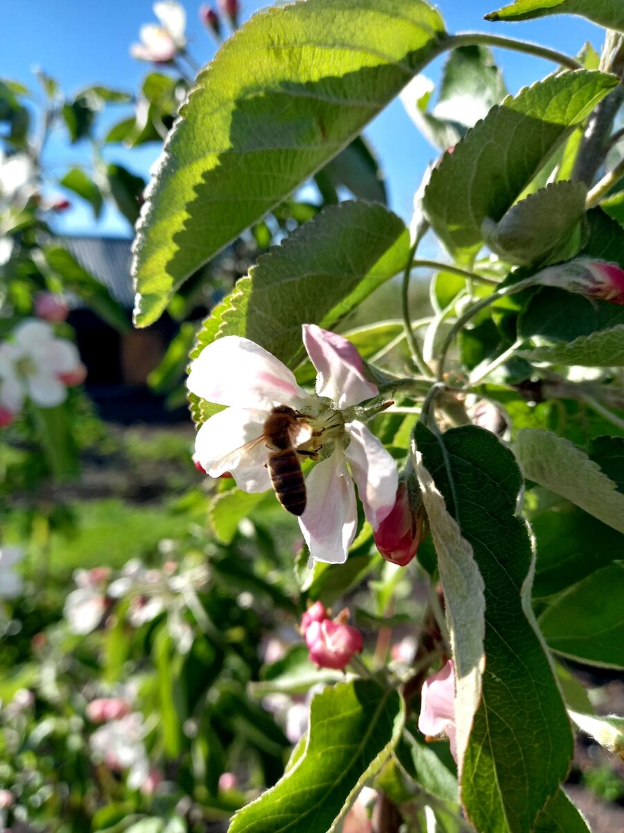 Вы рисуйте!