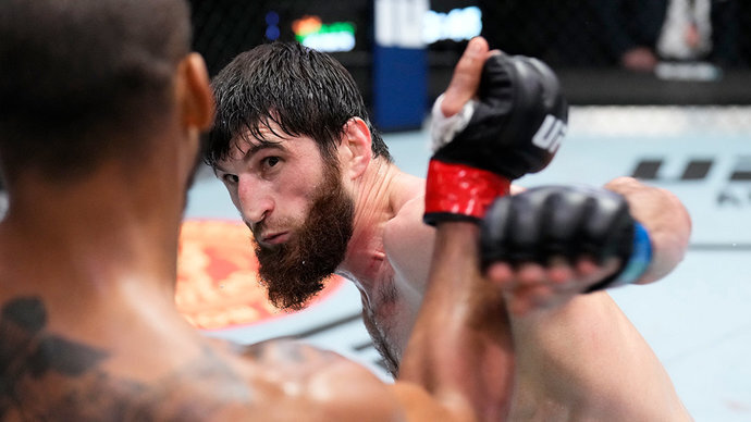 Анкалаев в октагоне. фото: картинки  яндекса.