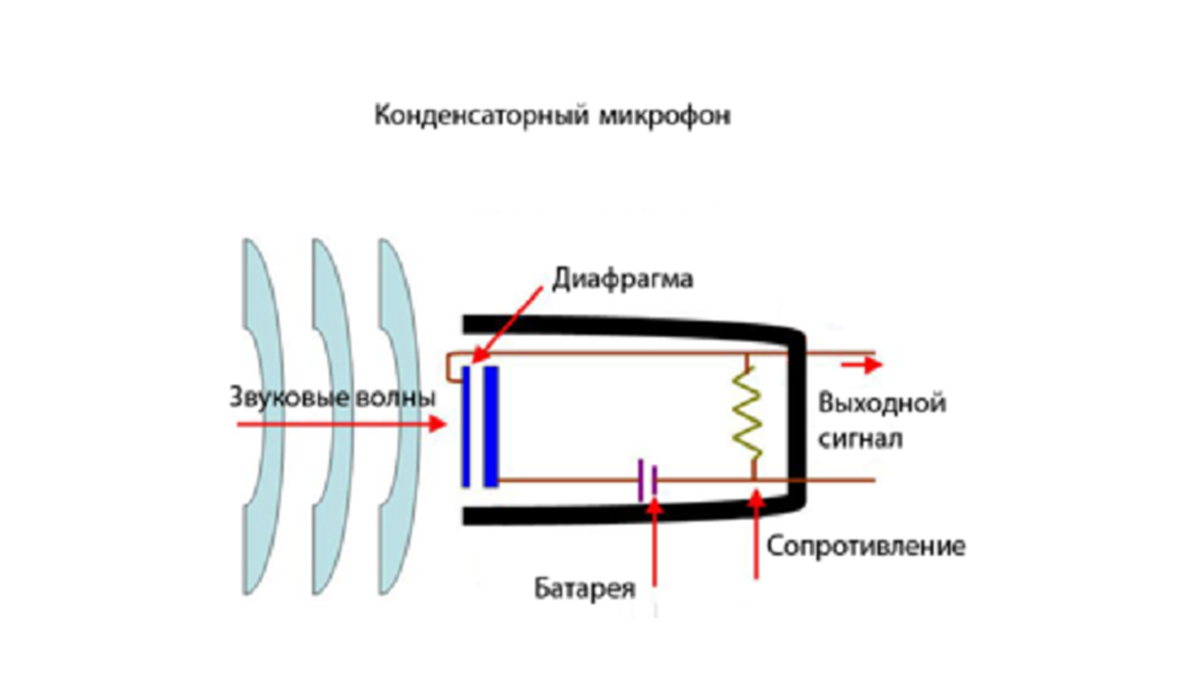 Устройство микрофона. Принцип работы микрофона. Строение конденсаторного микрофона. Принцип работы микрофона. Устройство и принцип действия конденсаторного микрофона.