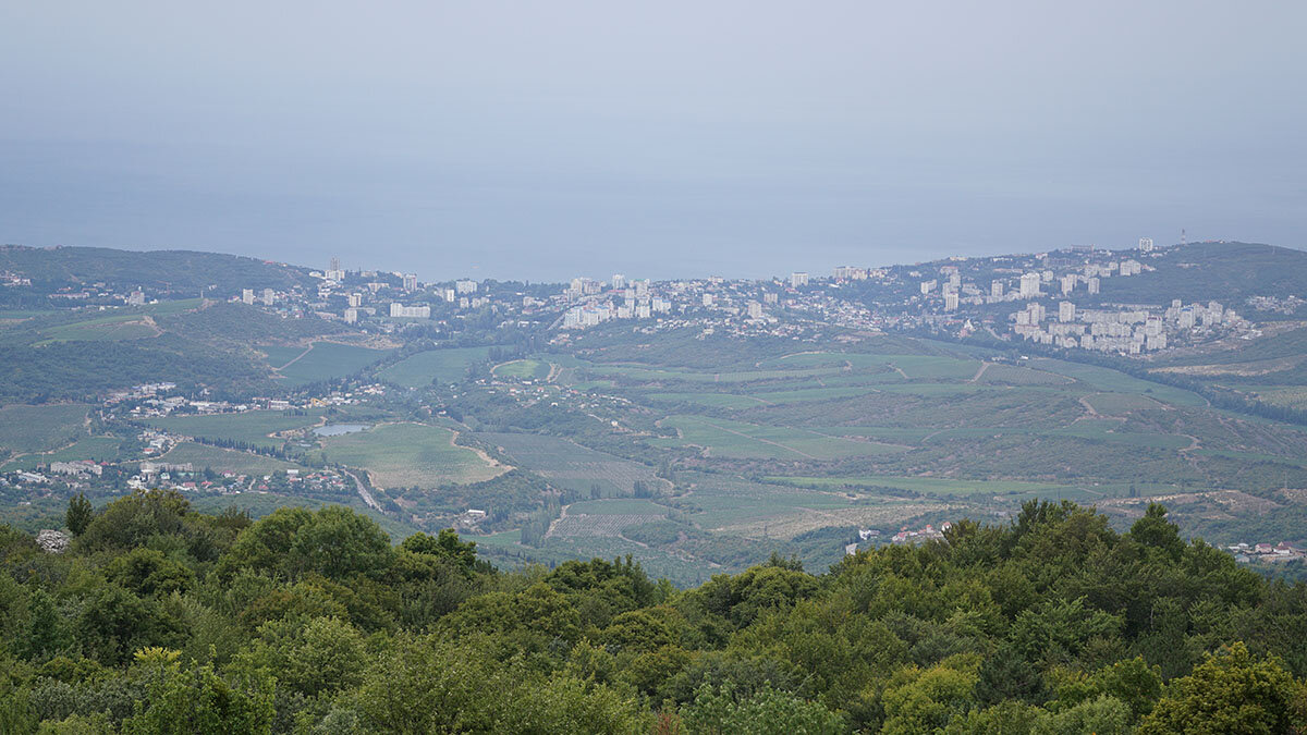 Виноградники Алуштинской Долины