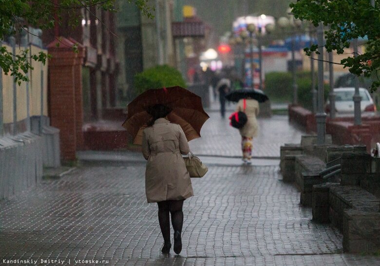    Фото: Дмитрий Кандинский / vtomske.ru