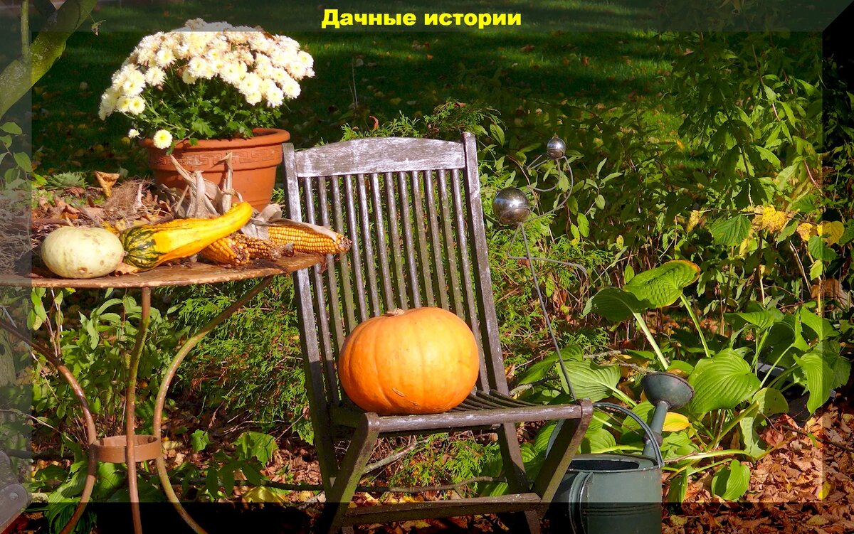 https://vk.com/photo-159774511_457255691
