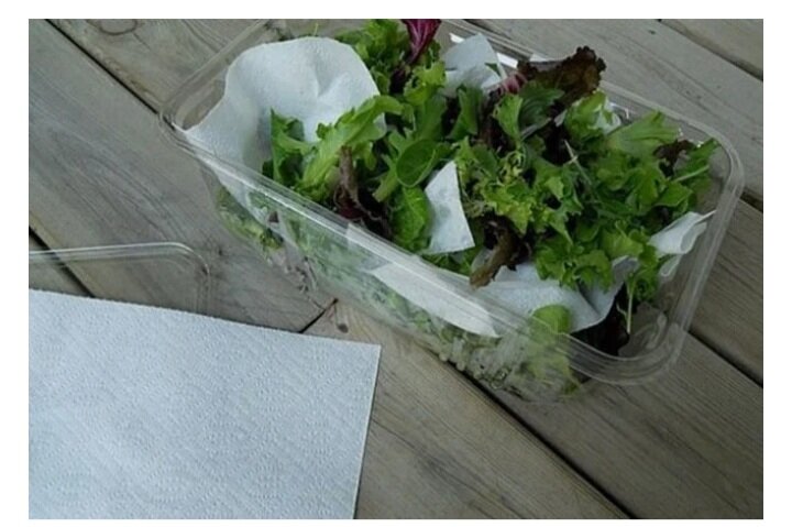 Чтобы салат оставался свежим на протяжении нескольких дней, воспользуйтесь следующим лайфхаком: возьмите обычный контейнер, застелите дно бумажным полотенцем и положите внутрь зелень. Полотенце будет впитывать излишнюю влагу, которая, обычно, и является причиной быстрой порчи продукта.