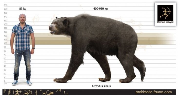 Привет, Ром! Все к тебе ходят, дай думаю тоже заскочу.