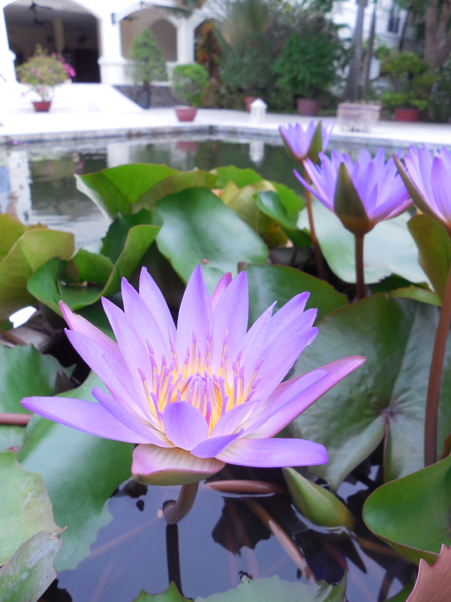 Вьетнам, 2016 год