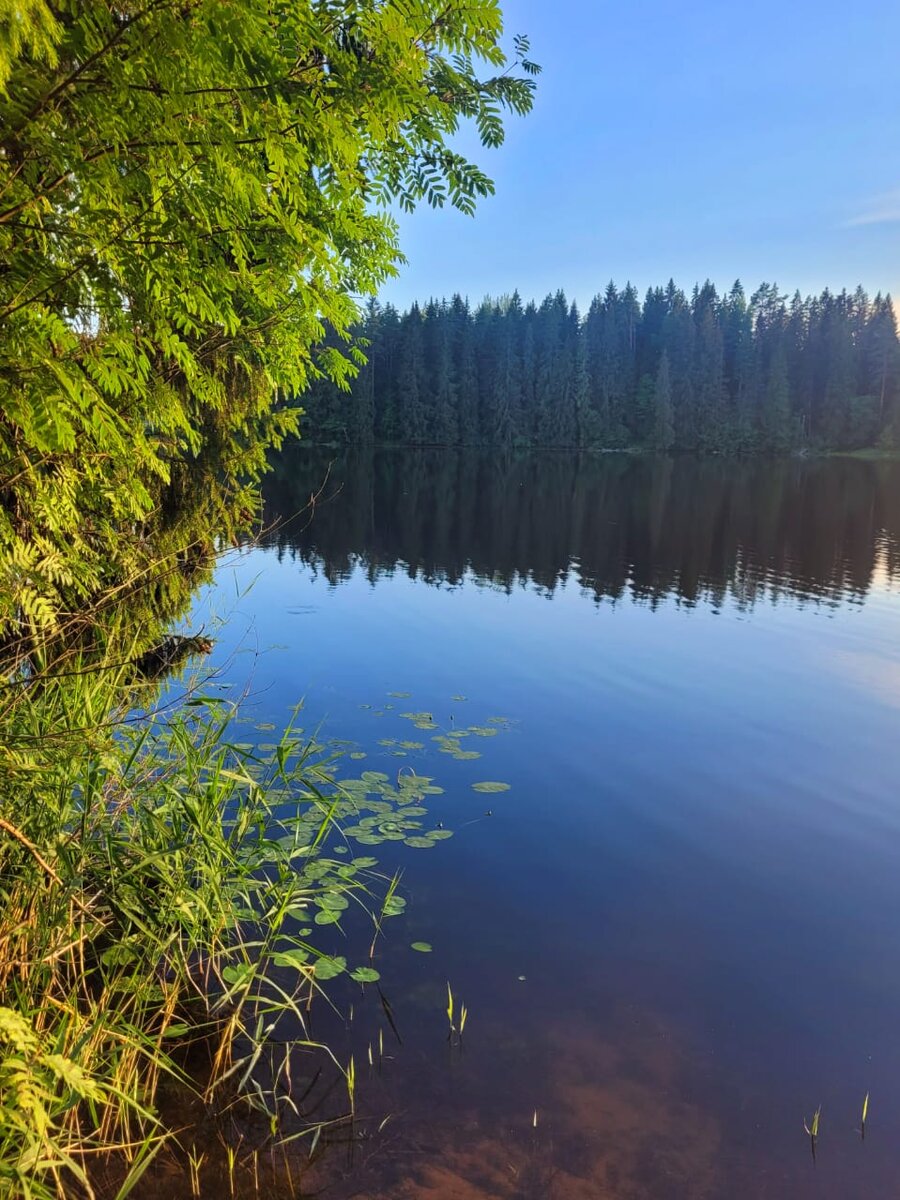 Фото автора