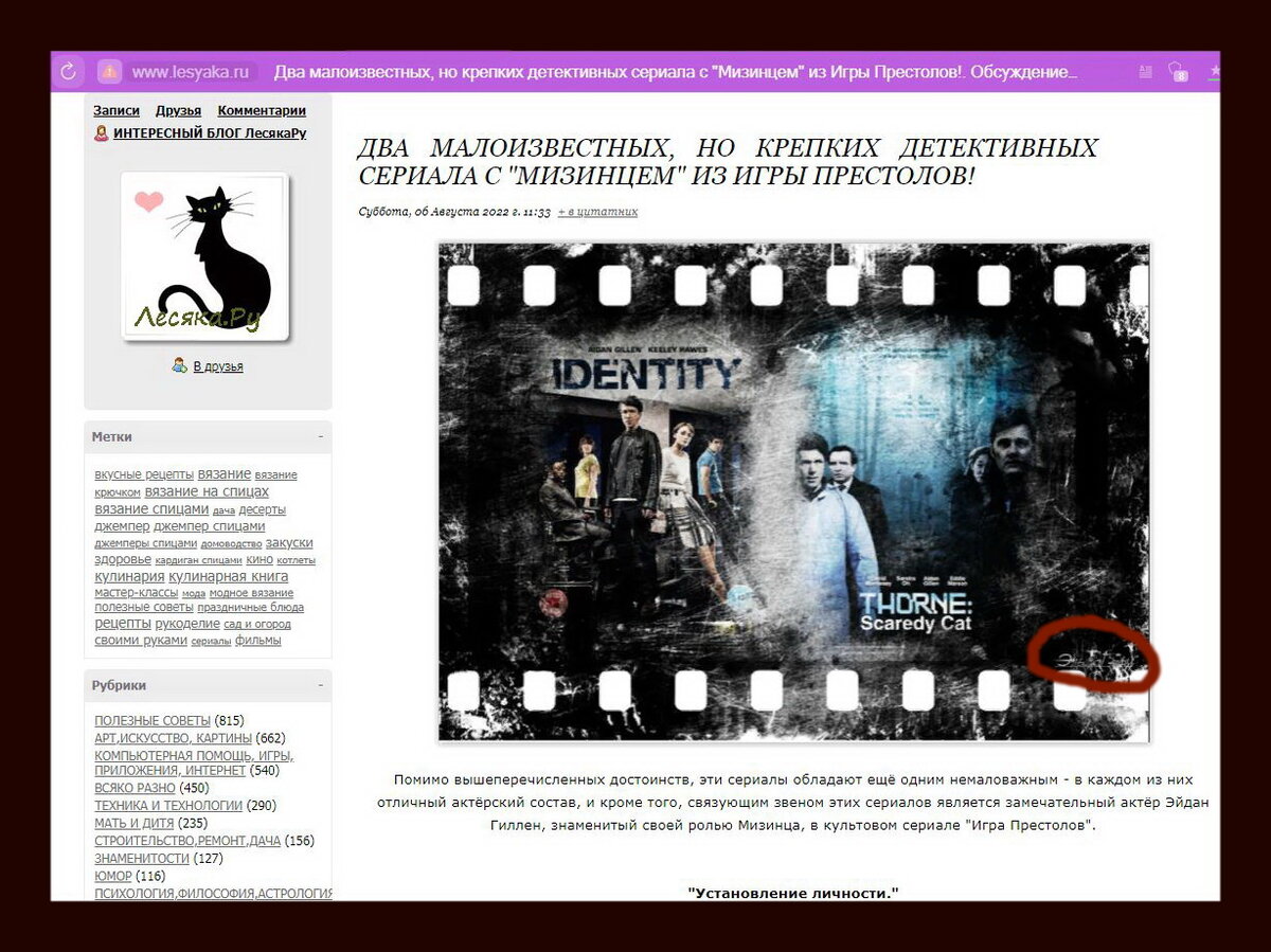 Наглое воровство моего авторского материала ШлакоБлогером ресурса  LiveInternet.Ru - ИНТЕРЕСНЫЙ БЛОГ ЛесякаРу. | Субъективная Эльза. КиноБлог.  | Дзен