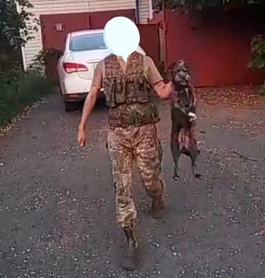 Ловля отловом будущей Фанни