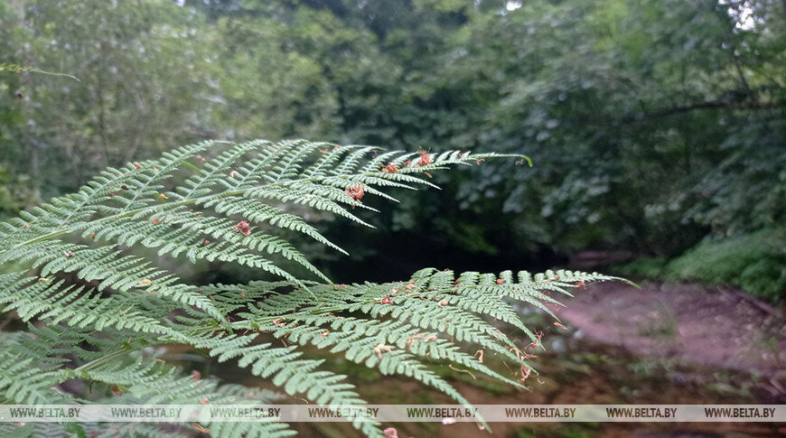    Фото из архива