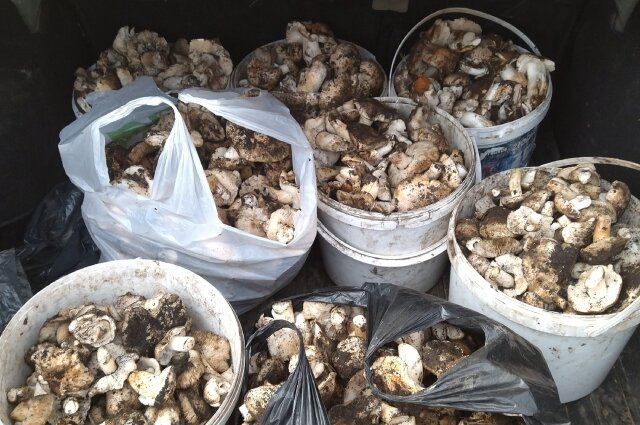    Фото: https://vk.com// Елена Булыгина