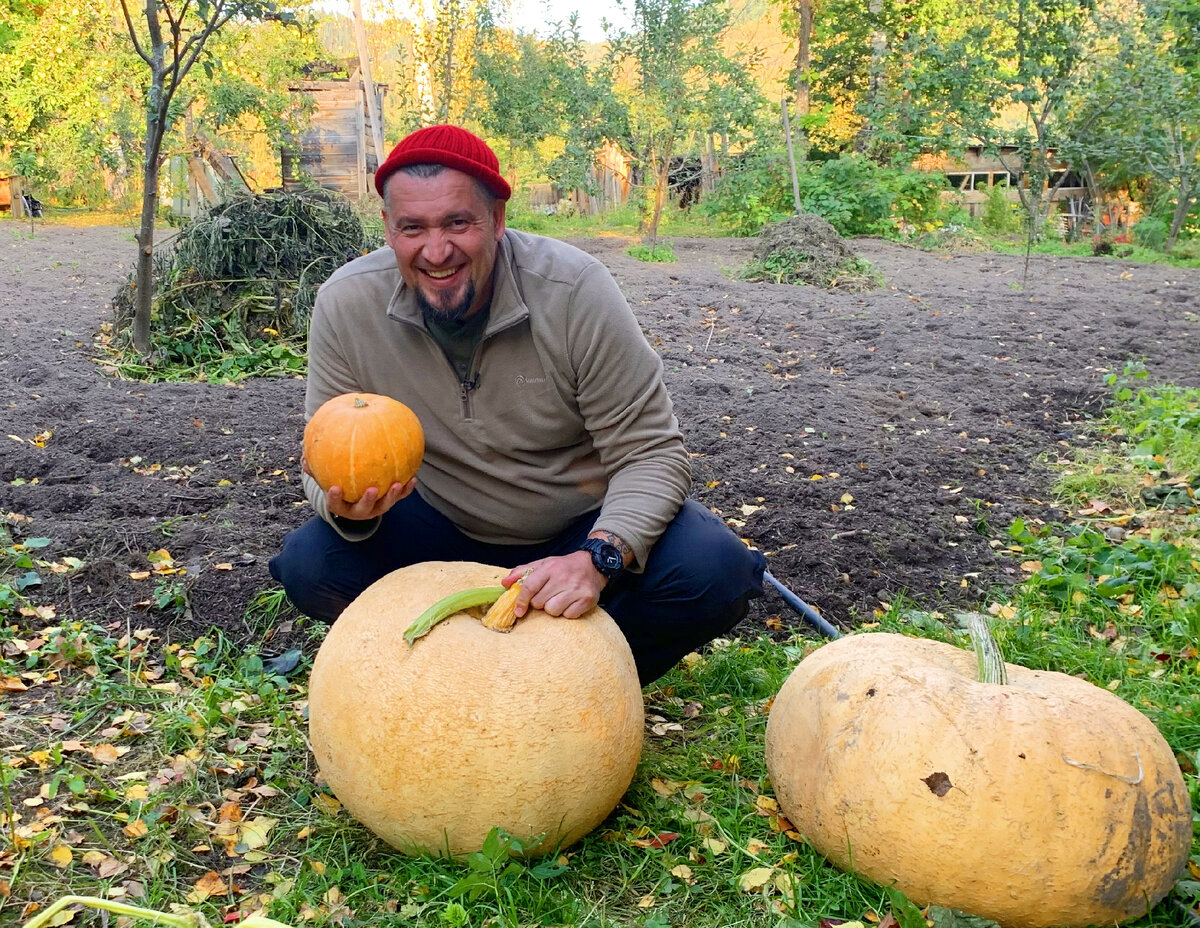 Десерт из тыквы в духовке