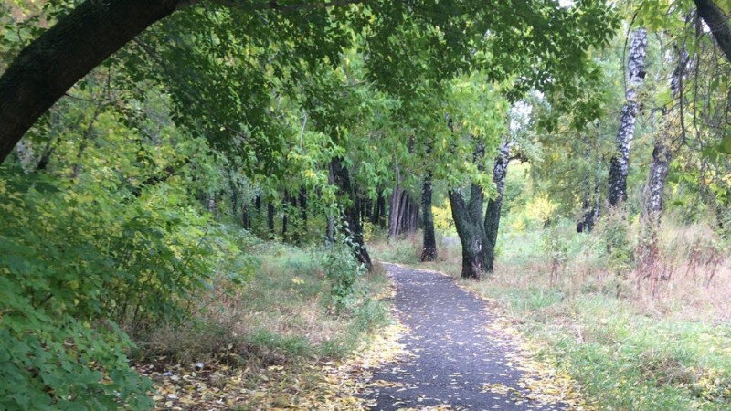     Мизюлинская роща. Гуля С., ru.foursquare.com