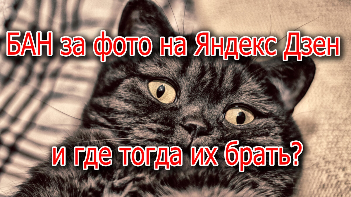 Как не попасть на БАН за фото на Яндекс Дзен и где тогда их брать?