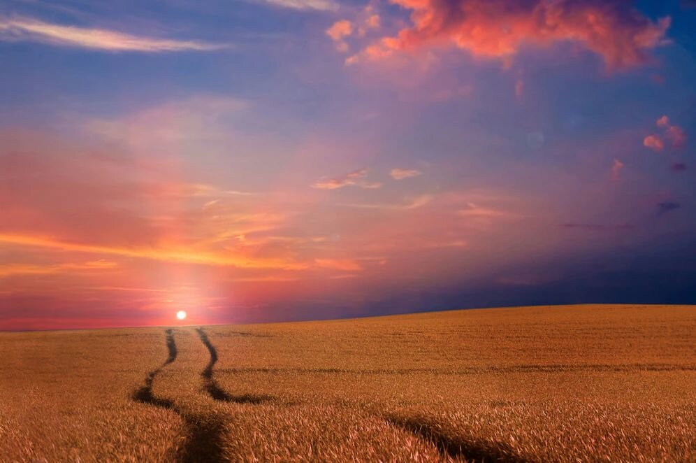 Фото с freepik.com