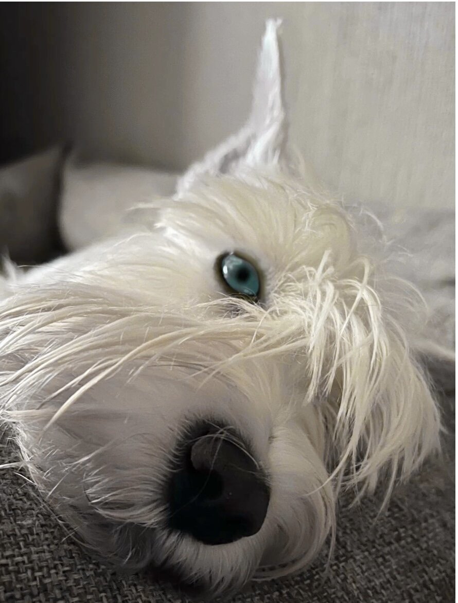 Как вам Бесть с голубыми глазами? Нос розовым  сделать не получилось😭