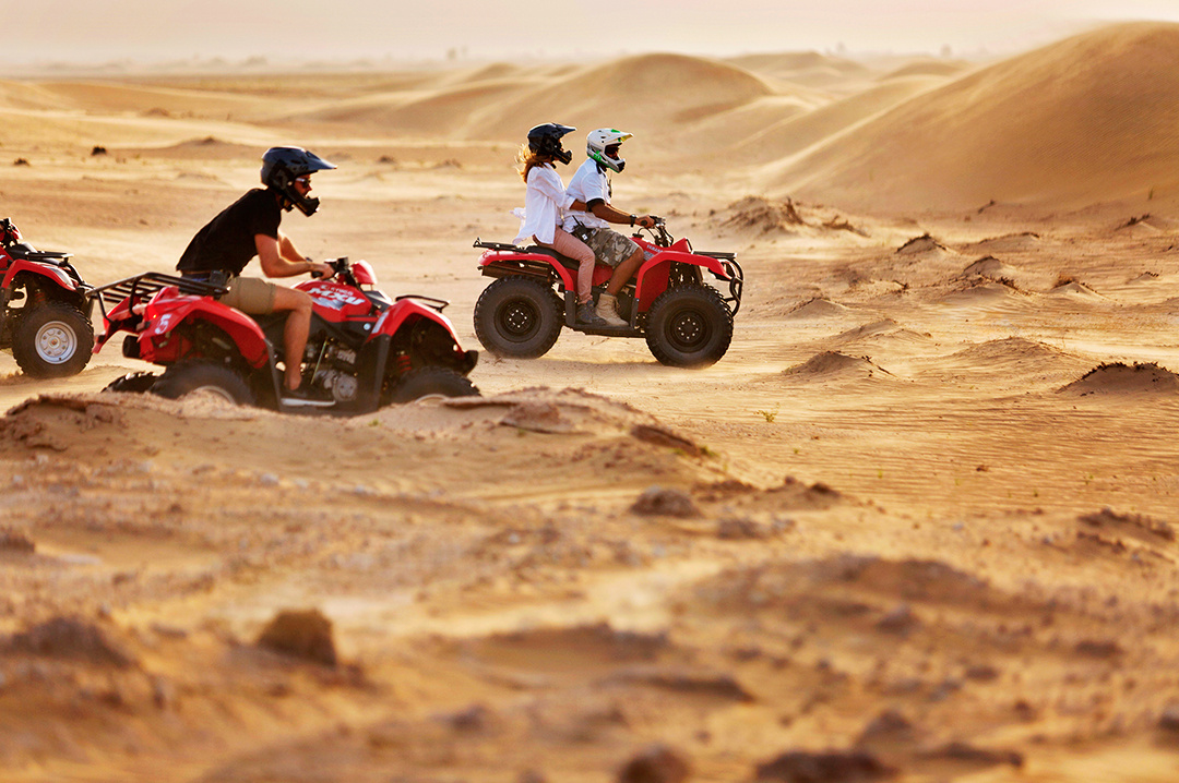 Развлечения на любой вкус 