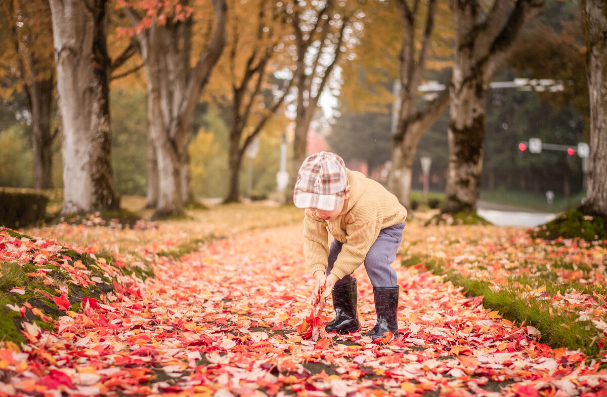 Фото с сайта Pexels.com