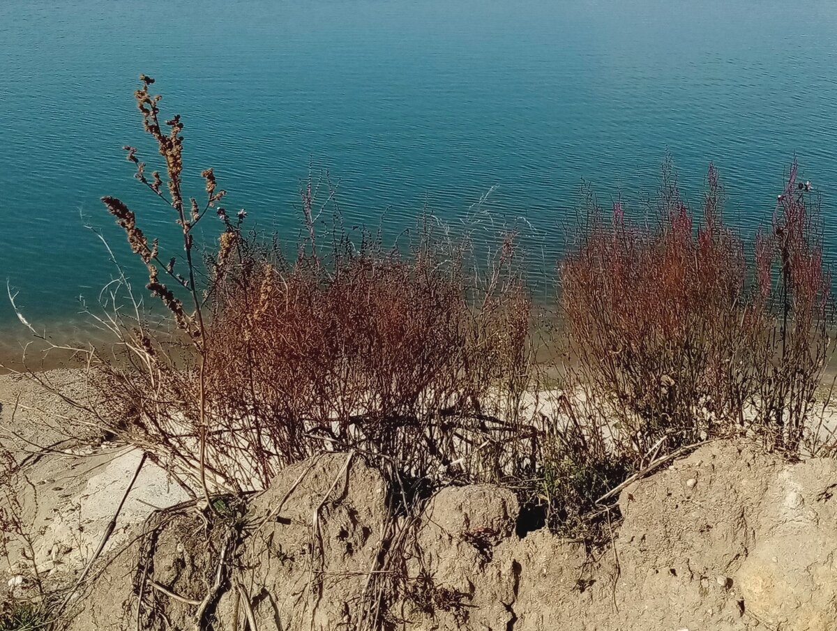 Один из прообразов озера. Подмосковье. Фото моё.