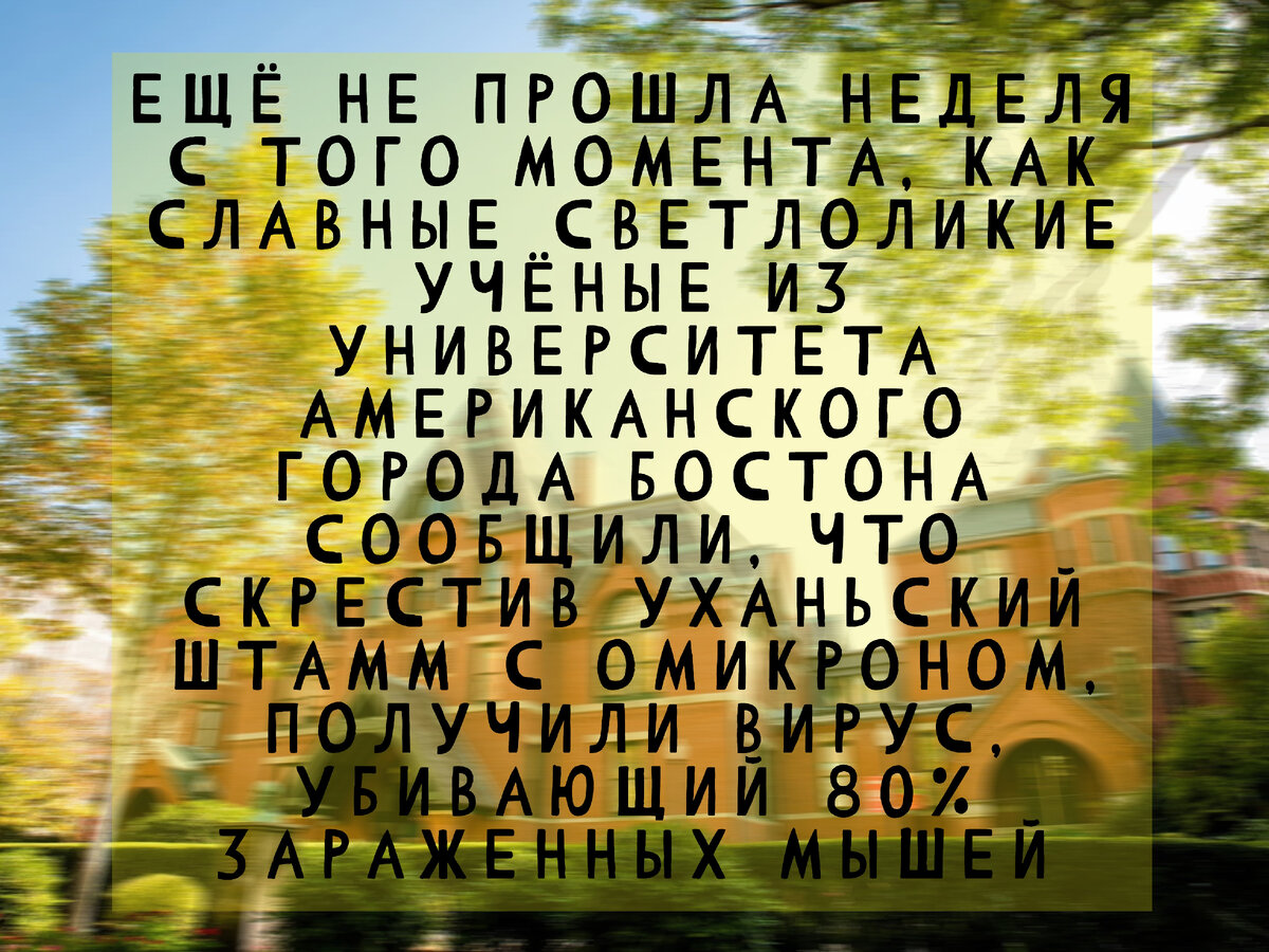 Бостонский университет