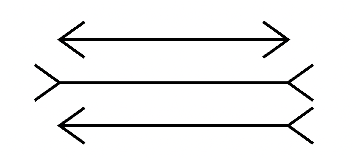 Иллюзия Мюллера-Лайера