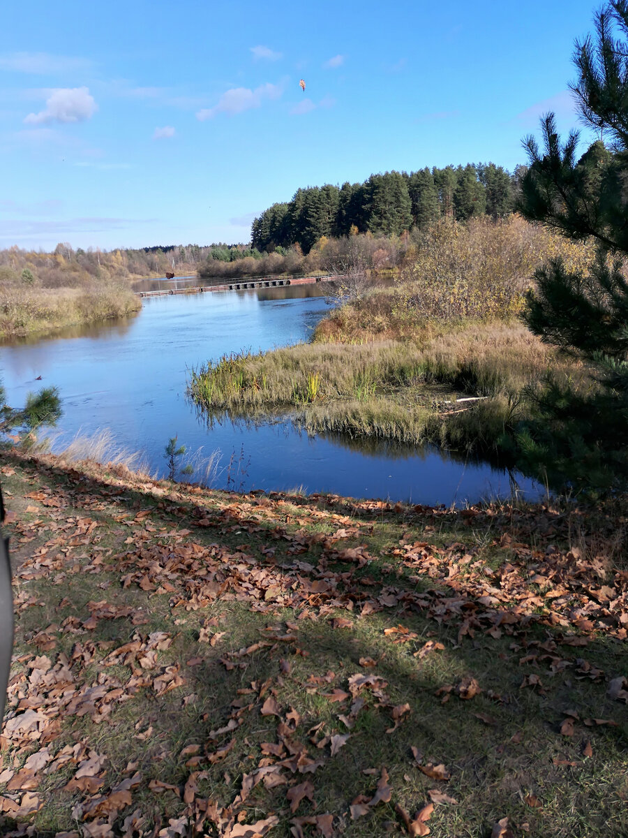 Дорога к санаторий ведёт через два моста. 