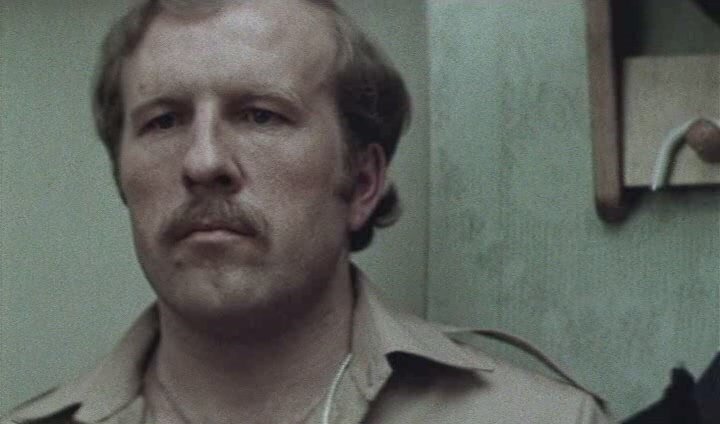 Фото из открытых источников.