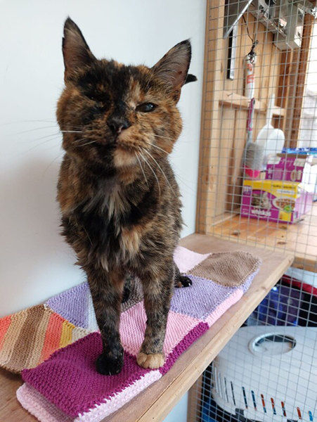   Guinness World Records