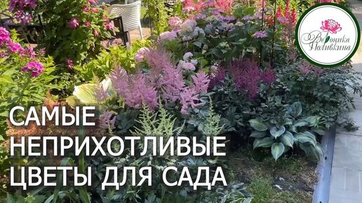 САМЫЕ НЕПРИХОТЛИВЫЕ ЦВЕТЫ ДЛЯ ВАШЕГО САДА