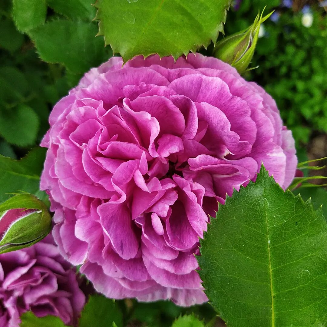 Фото сделано на телефон