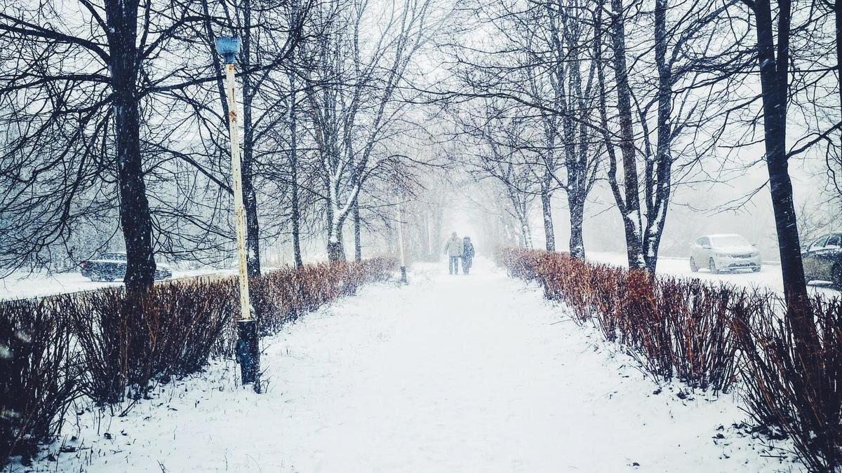    Зимний пейзаж:pexels.com