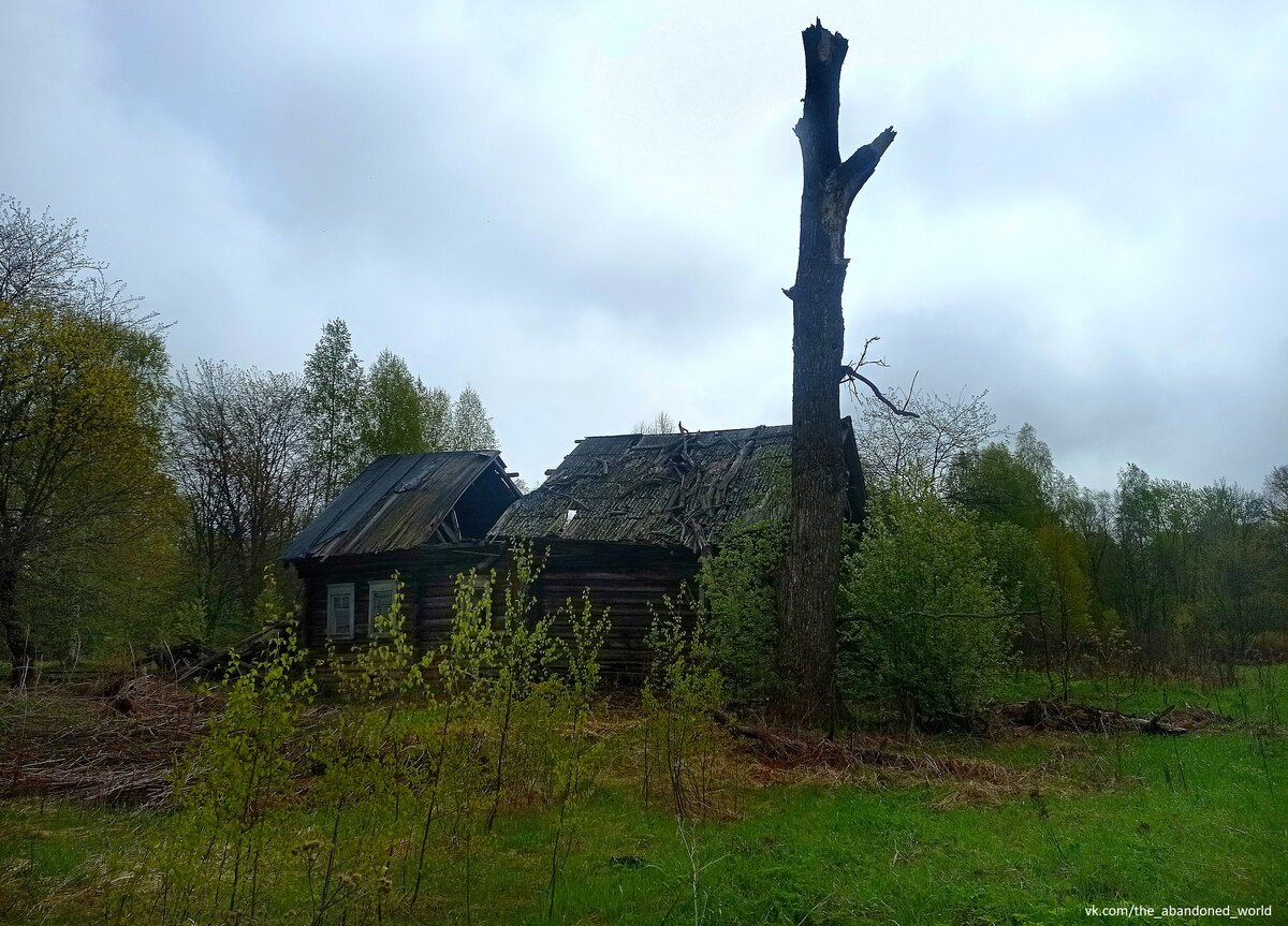 Фон заброшки. Колетино город. Телефоны которые удивят исторические. Заброшенный мир дзен. Заброшенный мир дзен.