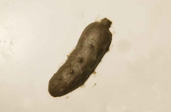 Модель всегда должна быть чуть больше чем то изделие что вы планируете, ведь существует усадка при сушке и обжиге. Готовое изделие всегда будет меньше модели.