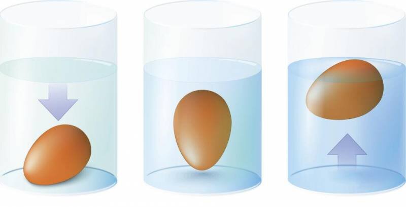 1 - свежее яйцо. 2 - яйцо возрастом 2-3 недели. 3 - старое яйцо - есть такое нельзя