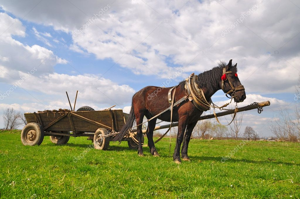 Фото телеги с лошадью