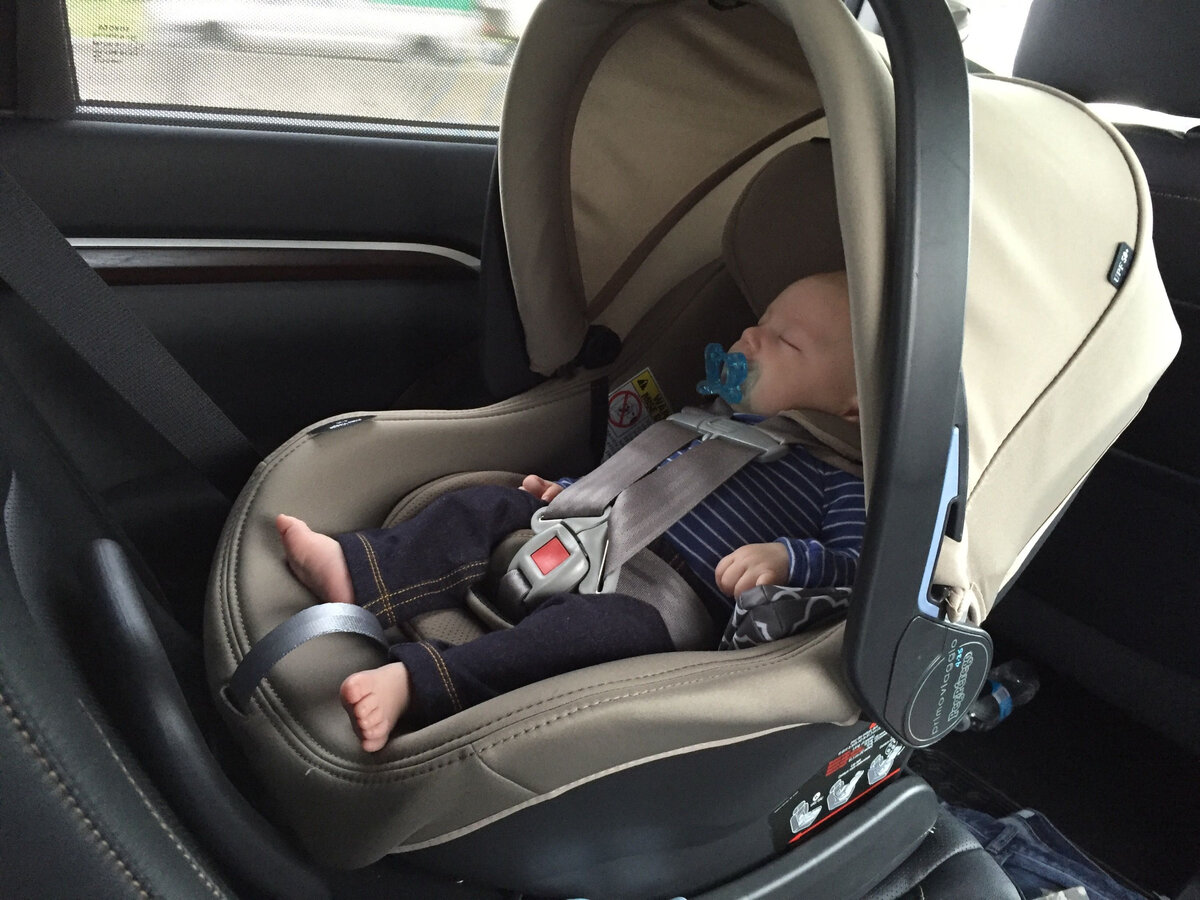 Фото взято из поисковой системы Яндекс