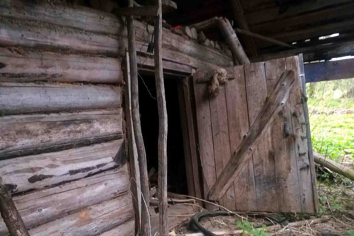 В заброшенном доме нашёл огромный старинный сундук. Глаза округлились когда  среди кучи старых вещей увидел 