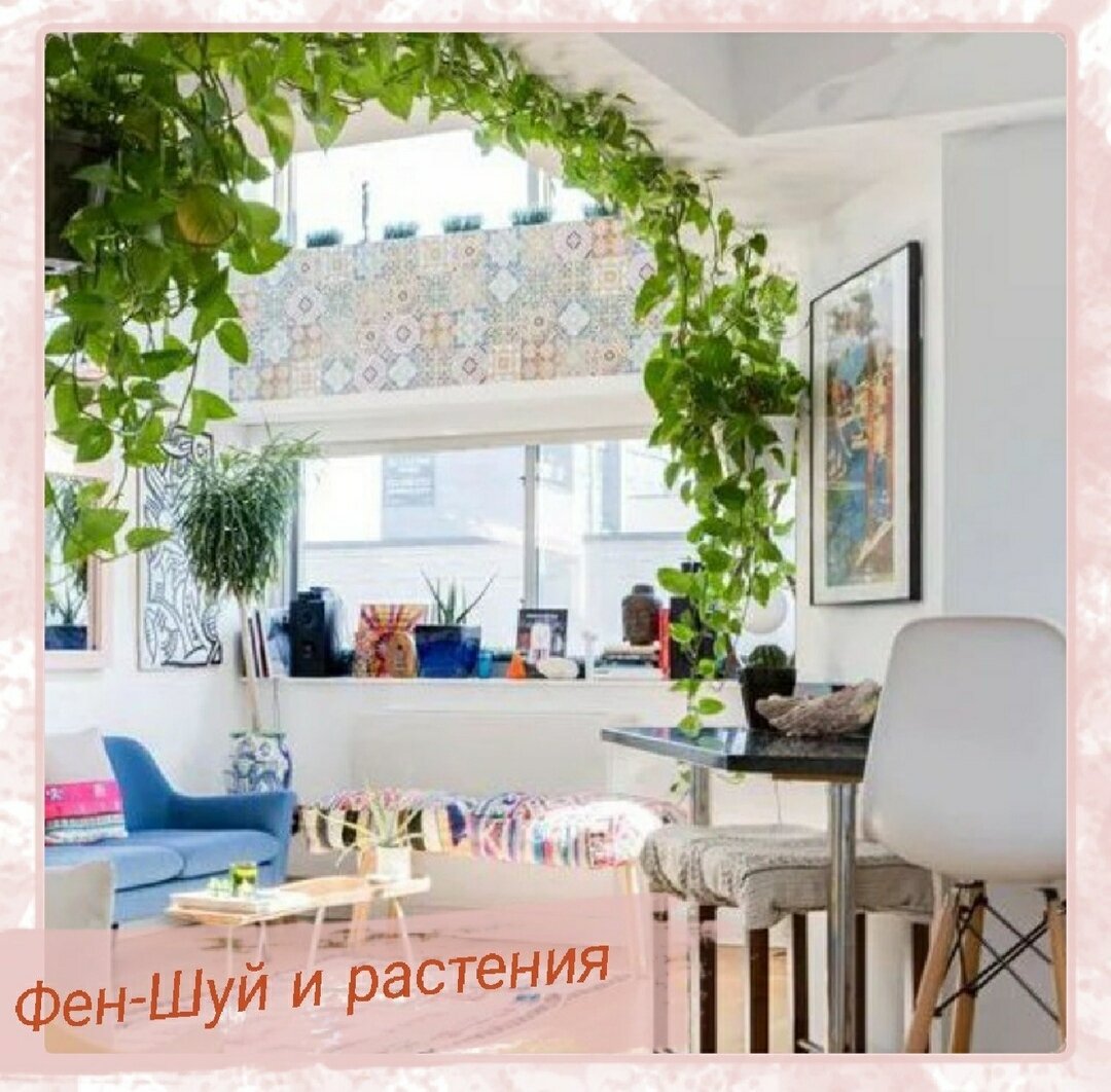 🌿Деревья и цветы олицетворяют элемент Дерево; горшки из керамики и фарфора – элемент Земля. Фен-шуй советует держать их на Востоке или же на Юго-Востоке, не запрещая и другие секторы. При грамотном размещении растения принесут в дом счастье и благополучие, сгармонизируют брачные отношения, укрепят здоровье
⠀
Носителями позитивной энергии являются:
🌼Фиалка. С помощью нее можно привлечь деньги, укрепить здоровье.
🌼Герань- успокаивает, снимает напряжение, помогает в достижении поставленных целей.
🌼Бегонии; Если в ваш дом часто приходят посторонние люди, цветок поможет избавиться от негативной энергии, очистит помещение.
🌼Фикус- нейтрализует и сдерживает энергию агрессии, вносит спокойствие. Но в секторе брака может подорвать отношения в семье.
🌼Деревья апельсин и лимон - положительно влияют на детей: активизируют тягу к знаниям, развивают любознательность.
🌼Толстянка (денежное дерево) - символизирует процветание и достаток. Последователи фен-шуя советуют посадить растение самому, предварительно положив на дно горшка монетки. Подросшее деревце украшают ленточкой красного цвета, вешают на веточки монеты. Оно должно расти возле окна на Юго-Востоке.
🌼Хризантема комнатная -укрепляет деловые и партнерские отношения. С этой целью высаживается в офисах.
⠀
🚫Тяжелую энергетику по фен-шуй несут:
юкка; щучий хвост, кактусы; эхмея; неорегелия.
⠀
А у вас что растет дома?
⠀
⠀
⠀
#бацзыконсультант #эзотерика #чтоделать #бацзыконсультант #любовь