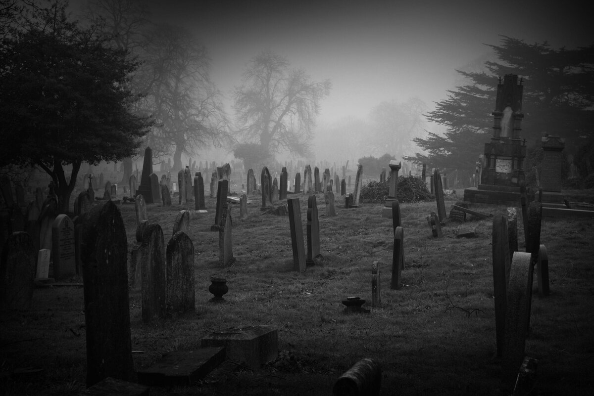 фото с: www.tumblr.com