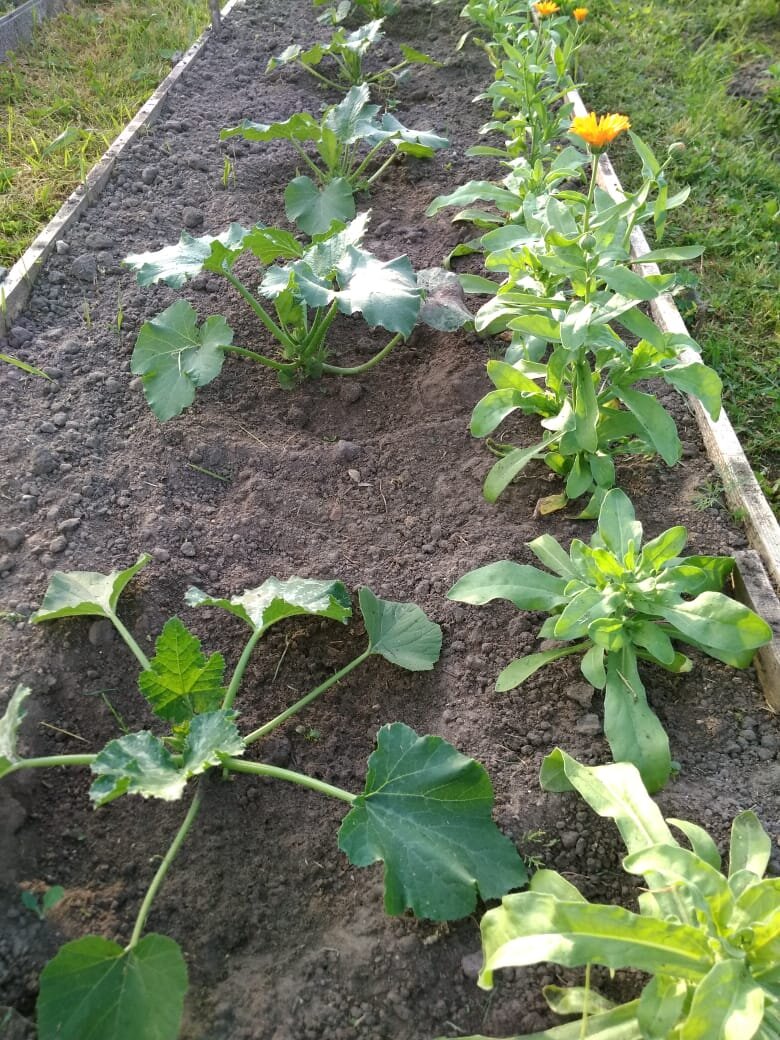 Личное фото.