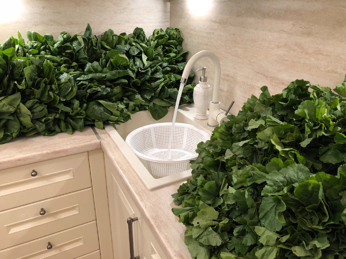 Готовимся к банной церемонии 😊  каждого стебелька 🌱