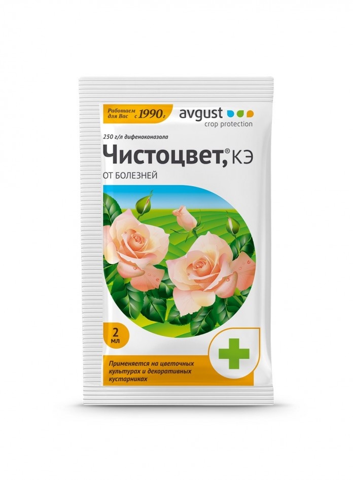   Чистоцвет» — профилактика и лечение болезней цветов
Для профилактики и лечения мучнистой росы, серой гнили и пятнистостей на цветах компания «Август» предлагает эффективное средство системного действия «Чистоцвет».
Фунгицид нового поколения отличается длительным профилактическим действием и выраженным лечебным эффектом. После обработки растения находятся под защитой не менее двух недель. Уже через два часа после опрыскивания «Чистоцвет» попадает в ткани растений и не смывается дождём.
Для профилактики и лечения цветов от мучнистой росы 2 мл «Чистоцвета» разводят в 5 л воды. Для борьбы с серой гнилью и пятнистостями потребуется 4 мл на 5 л воды. Этого количества достаточно для обработки 100 м².