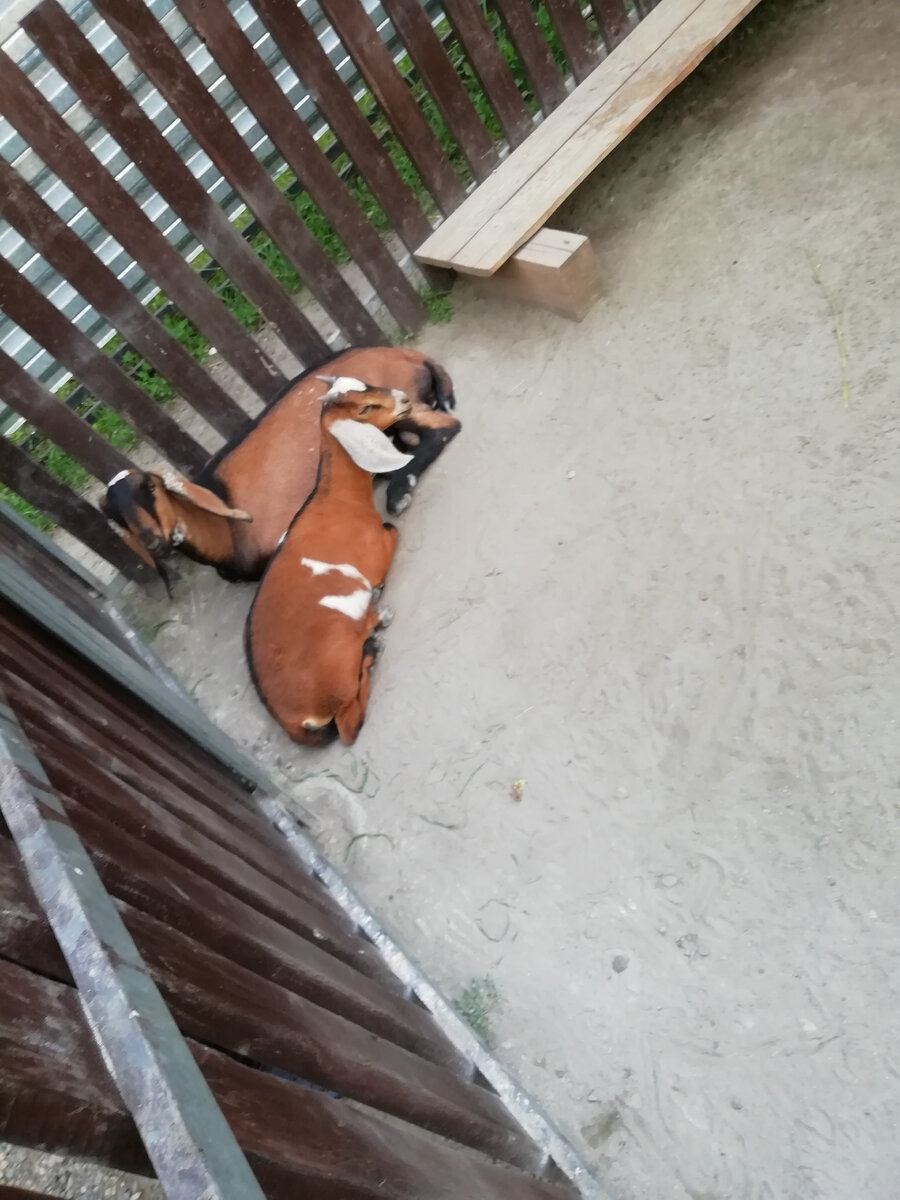 Фото из личного архива