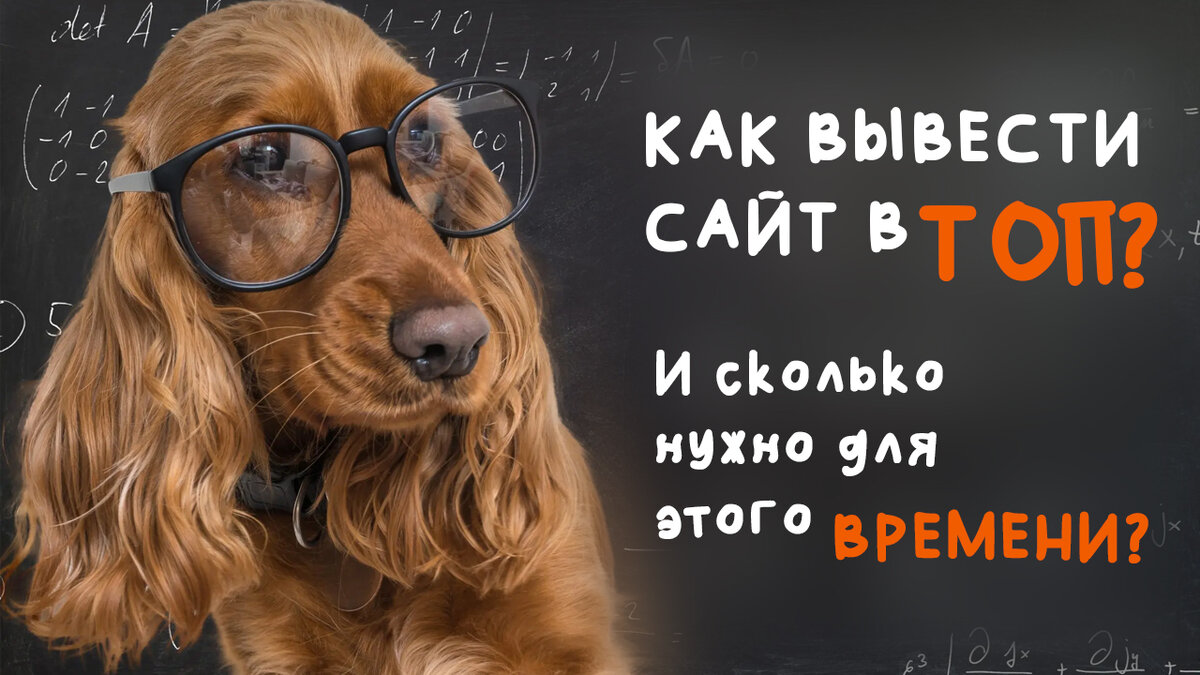 Как вывести сайт в топ? И сколько нужно для этого времени?